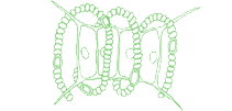 Domů